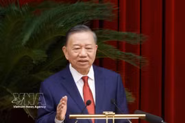 苏林总书记、国家主席发表讲话。图自越通社
