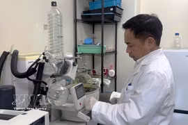 广岛大学 IDEC 研究院农业与生物技术专业陈登春教授。图自越通社