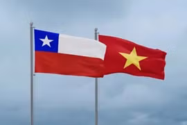 越南与智利国旗。图自互联网