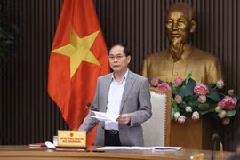 裴青山副总理向若干部委下达了具体任务。图自越通社