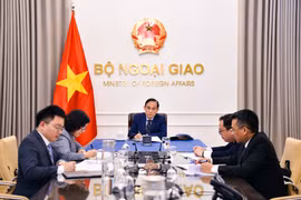 交部长黎怀忠2同阿尔及利亚外交和海外侨民部长艾哈迈德·阿塔夫以及纳米比亚国际关系与贸易部部长塞尔玛·阿希帕拉-穆萨维伊通电话。图自越南外交部