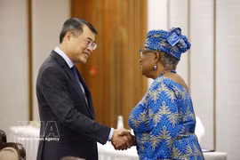越南政府总理黎明兴会见世贸组织总干事恩戈齐·奥孔乔-伊韦阿拉。图自越通社