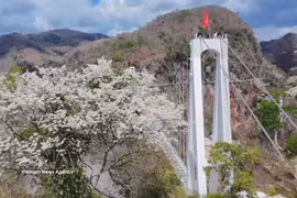 将木州打造成为西北地区富有魅力目的地。图自越通社