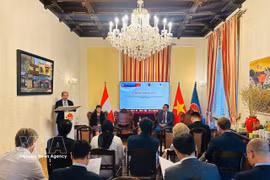 越南科学与技术翰林院与越南驻奥地利大使馆及国际应用系统分析研究所举行科技外交座谈会。图自越通社