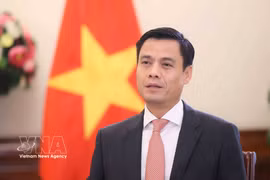 越南外交部副部长邓黄江。图自越通社