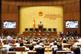 越南第十六届国会第一次非常规会议现场。图自越通社