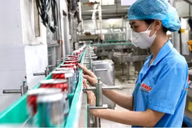 胡志明市新光明贸易有限公司（Bidrico）生产链。图自西贡解放报