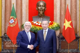 越共中央总书记、国家主席苏林与葡萄牙大使。图自越通社