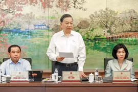 越共中央总书记、国家主席苏林发表意见。图自越通社