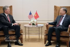 越共中央总书记、国家主席苏林会见美国参议员史蒂夫·戴恩斯。图自越通社