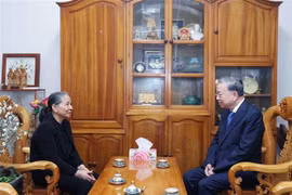 越共中央总书记苏林上香缅怀越共中央总书记阮富仲