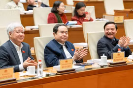 越共中央政治局委员、国会主席陈青敏和各位副主席与会。图自越通社