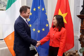 越南与爱尔兰举行副外长级政治磋商。图自越南外交部