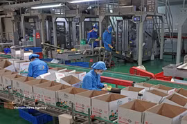 位于海防市石魁坊一号工业群的龙海有限责任公司每年生产数百吨产品，向国内市场供应并出口海外。图自越通社
