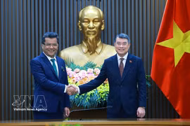 越南政府总理黎明兴会见印度外交部国务部长帕比特拉·玛格丽塔。图自越通社