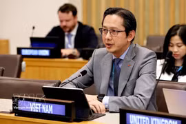 越南常驻联合国代表团团长杜雄越大使出席联合国妇女署执行局年会。图自越通社