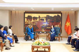 政府副总理范氏青茶会见联合国儿童基金会驻越南首席代表席尔维亚·达奈洛夫。图自越通社