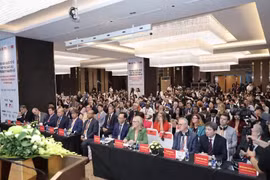 从10月8日至9日在河内举行的数字时代教育合作国际会议吸引来自40个国家和地区的800多名代表与会。图自Vietnam+