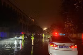灾情发生后，该省各职能力量和地方政府立即紧密部署应对与灾后重建方案。图自越通社