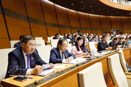 河静省国会代表团与会。图自越通社