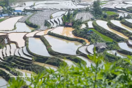 莱州省梯田进入灌水季节，美不胜收。图自越通社