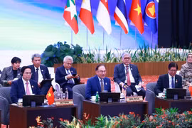  越南政府总理范明政出席与东盟议会联盟对话会。图自越通社