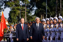越共中央总书记、国家主席苏林和巴拿马总统何塞·劳尔·穆利诺检阅越南人民军仪仗队。图自越通社