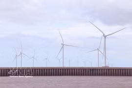金瓯省总投资额超6.3万亿越盾的风电项目开工建设。图自越通社