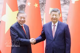 越共中央总书记、国家主席苏林与中共中央总书记、国家主席习近平。图自越通社
