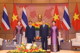 越共中央总书记、国家主席苏林与夫人主持仪式，欢迎泰国国王与王后访越。图自越通社
