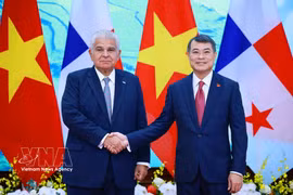 越南政府总理黎明兴会见巴拿马总统穆利诺。图自越通社