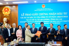 超级豪华邮轮码头项目效果图。越通社发