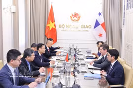 2026年7月28日，越南外交部副部长邓黄江与巴拿马外交部副部长卡洛斯·A·霍沃斯（Carlos A. Hoyos）共同主持了越南与巴拿马第二次政治磋商。图自越通社