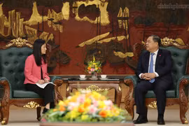 越南政府常务副总理范家足会见美国驻越大使詹妮弗·威克斯。图自chinhphu.vn