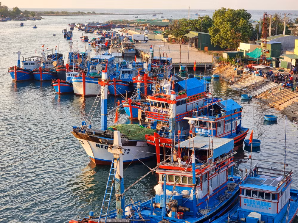vna_potal_ninh_thuan_quyet_liet_trien_khai_cac_giai_phap_chong_khai_thac_iuu_7416118.jpg