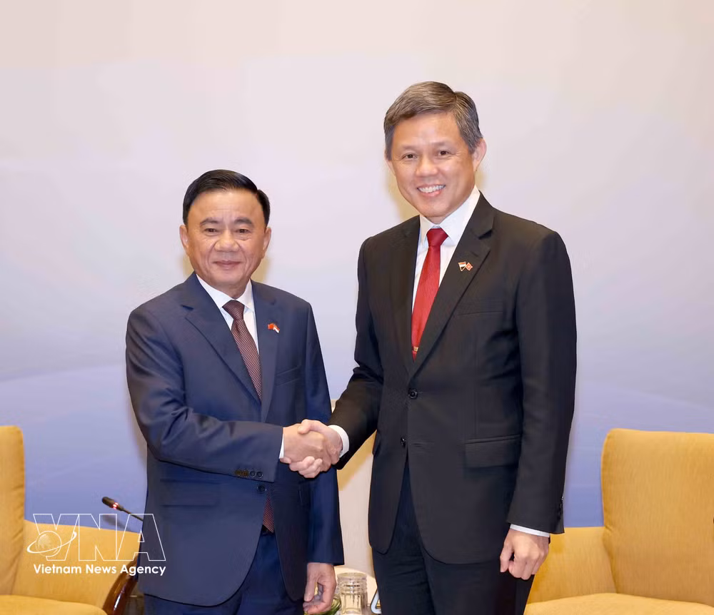 vnanet-potal-le-don-uy-vien-bo-chinh-tri-thuong-truc-ban-bi-thu-tran-cam-tu-tham-chinh-thuc-singapore-8979392.jpg