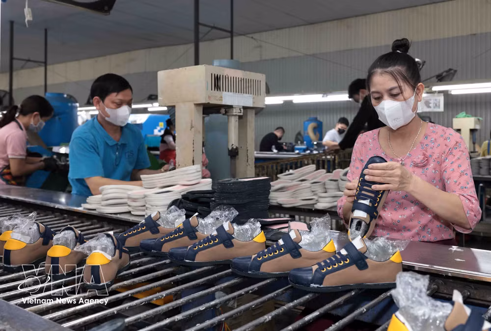 vnanet-vna-potal-tan-dung-loi-the-xuat-xu-trong-cptpp-don-bay-tang-truong-xuat-khau-trong-boi-canh-chinh-sach-thue-doi-ung-8388656.jpg