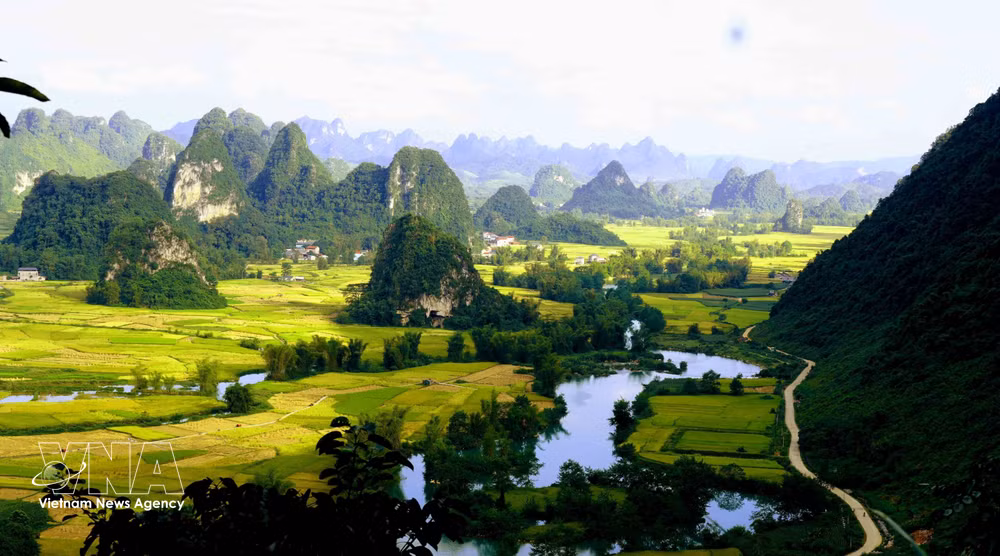 vnanet_potal-cao-bang-thung-lung-ngoc-con-mua-vang-9054120-3.jpg