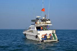 越中海警在北部湾北部海域进行联合巡逻