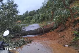 持续强降雨引发山体滑坡，山罗省、奠边省交通严重受阻