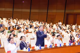 苏林：吸引外资旨在增强内生动力与自主发展能力