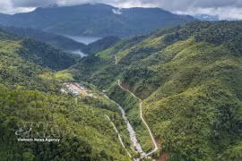 岘港：唤醒园林业与山区经济价值