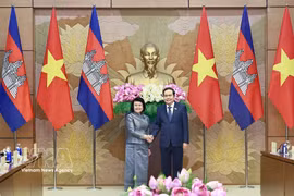 越南国会主席陈青敏迎接并与柬埔寨国会主席举行会谈