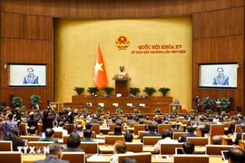 调整精简后的2021-2026 年任期越南政府机构