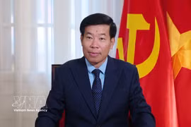 为越泰关系更加强劲发展注入新动力