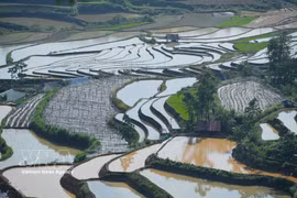 莱州：欣赏灌水季梯田之美