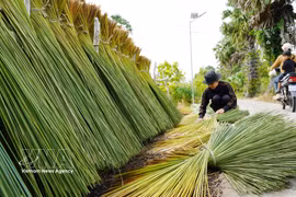 安江边境居民巧用蒲草制作手工艺品
