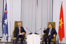 苏林会见澳大利亚政府东南亚问题特使尼古拉斯·摩尔