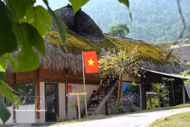 下坪村瑶族人屋顶上的苔藓之色