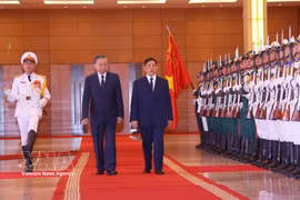 越南隆重举行仪式 欢迎泰国国王与王后访越
